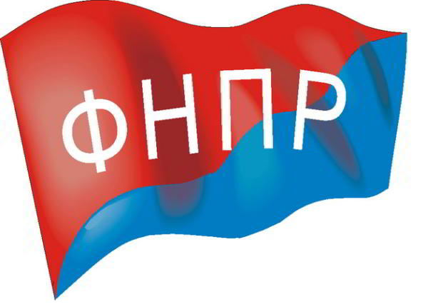 mini fnpr 20