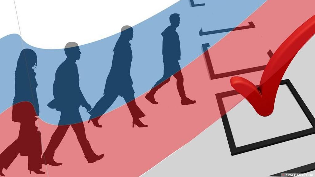 Внимание: отчеты и выборы