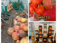 А вот и урожай!